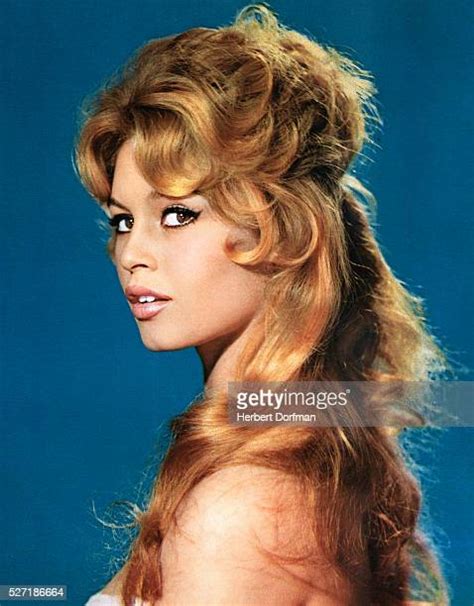 8,440 Brigitte Bardot Photos & High